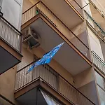 Zuroli Suite